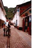 95820.pisac1[1].jpeg